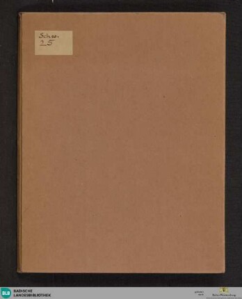 Andria, cum commento, Fragment - Cod. Schwarzach 25