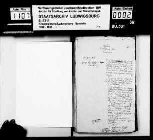 Heimatverhältnisse des aus Hochhausen, Bezirksamt Mosbach/Baden, gebürtigen Nagelschmieds Johann Michael Trefz (Treffz)