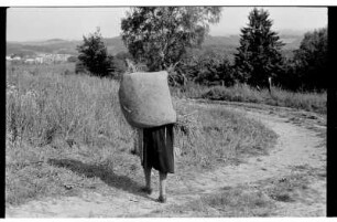 Transport des Grases