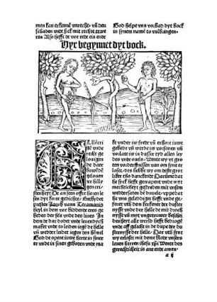 Hyr begynnet dyt bock.