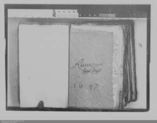 . Kriegsnöte der Grafschaft Nassau-Diez: Band 29