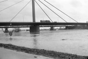 Rheinhochwasser