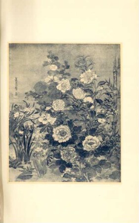 Flower study