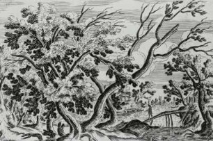 Landschaft mit einem über eine Holzbrücke gehenden Mann