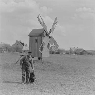 See: Windmühle : See. Ortsteilansicht mit kleiner Windmühle