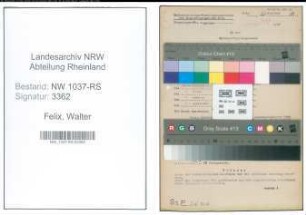 Entnazifizierung Walter Felix , geb. 11.02.1891 (Angestellter)
