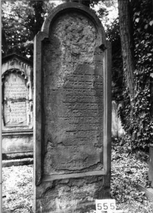 Grabstein 555 (Index: 99630056) Material: Sandstein Zustand: stark verwittert mit Textverlust Maße HxBxT: 176x66x11 cm Beschreibung: Stele mit eingezogenem Rundbogenabschluß, Schriftfeld eingetieft Symbolik: Zitat Proverbia 31, 10: Grabstein 555
