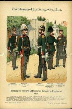 Uniformdarstellung, Tambour, Gemeiner, Offizier, Feldwebel und Unteroffizier der Infanterie, Herzogtum Sachsen-Coburg-Gotha, 1866.