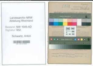 Entnazifizierung Anton Schwartz , geb. 21.08.1891 (Angestellter)