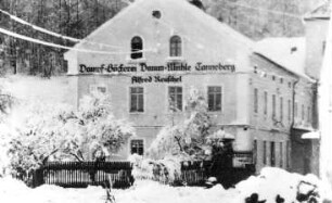 Triebischtal-Tanneberg. Dammmühle, Repro
