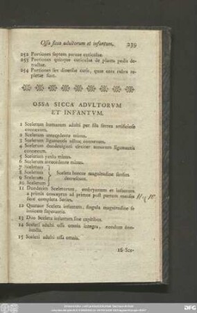 Ossa Sicca Adultorum Et Infantum.