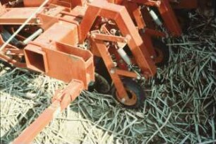 Fotografie: Säverfahren, Einzelkornsaat, Mais, Mulchsaat, Reihendüngung, Zwischenfrucht