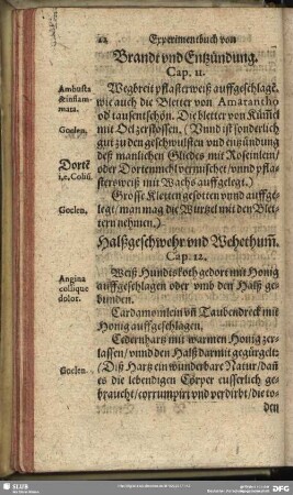 Bandt und Entzündung. Cap. 11