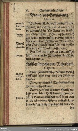 Bandt und Entzündung. Cap. 11