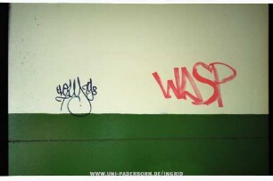 WASP