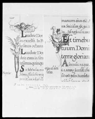 Erläuterungsbände zu den Bußpsalmen des Orlando di Lassos und den Motetten des Cyprian de Rore — Cherub