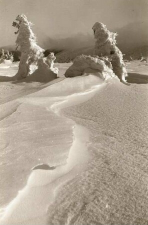 Winter im Riesengebirge : Riesengebirge, "Wechselschnee" und vereiste Bäume im Kammgebiet