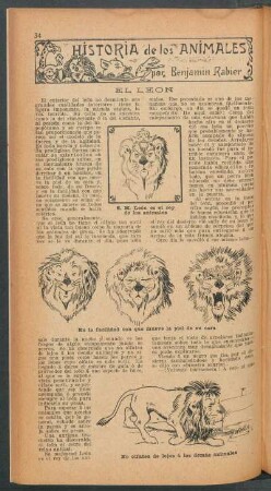 El león : Historia de los animales