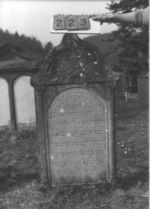 Grabstein 223 (Index: 100009150) Zustand: Rückseite zum größten Teil abgebröckelt Maße HxBxT: 119x62x10 cm: Grabstein 223
