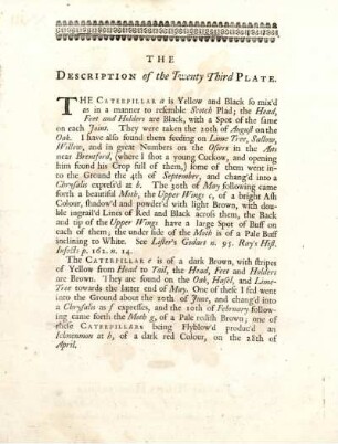 The Description of the Twenty Third Plate