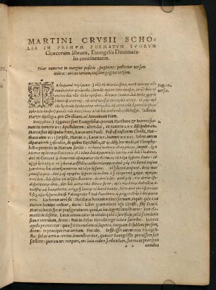 3-81, Martini Crusii scholia in primum poematum suorum Graecorum librum, Evangelia Dominicalia continentem