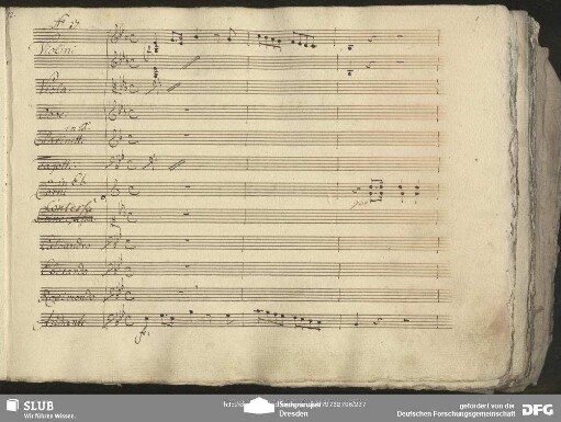 Quartetto: "M'arresto al primo sguardo"