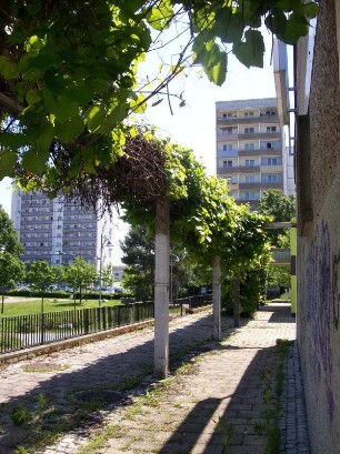 Hoyerswerda: Neustadt, Wohn- und Geschäftskomplex Dietrich-Bonhoeffer-Straße