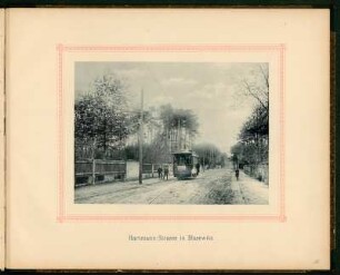Dresden, Ludwig-Hartmann-Straße in Blasewitz mit Straßenbahn der Linie Blasewitz-Laubegast : Hartmann-Straße in Blasewitz. Abbildungen, Blatt 15 aus: Elektrische Strassenbahn Blasewitz-Laubegast : ausgeführt von der Firma: O.L. Kummer & Co., Dresden, Werkstätten für Elektrotechnik, Mechanik und Maschinenbau in Niedersedlitz bei Dresden. [Dresden: 1893]. Dresden: SLUB 49.2.75