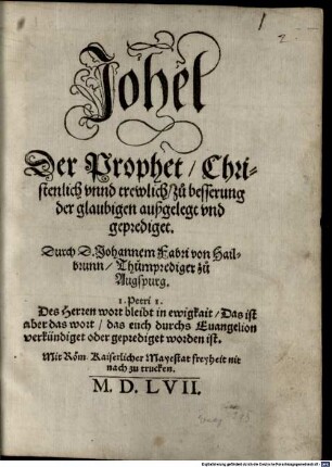 Johel Der Prophet, Christenlich vnnd trewlich, zu besserung der glaubigen außgelegt vnd geprediget