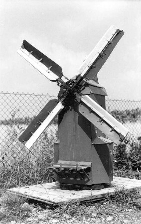 Brumby. Modell der Paltrockmühle