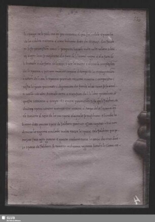 Blatt 130
