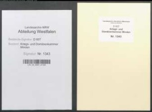 Reparatur des Steinpflasters in Bünde