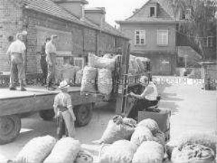 Verladen von Gemüse der LPG "1. Mai" Wartenberg