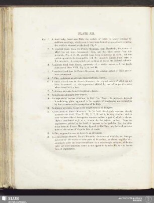 Plate XII
