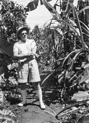 Mischkulturen auf einer Plantage : Dr. Günter Wolff inmitten von Zuckerrohr-, Makabo- und Kakaopflanzen in Mischkultur, die sich auf einer Plantagen bei Malabo befinden.