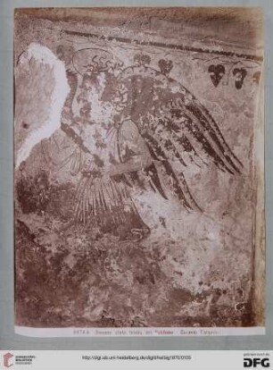 6974A Demone alata Tomba del Polifemo - Corneto Tarquinia