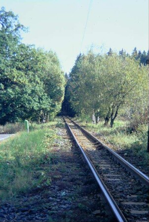 Gleis der Thüringer Waldbahn an der Marienglashöhle