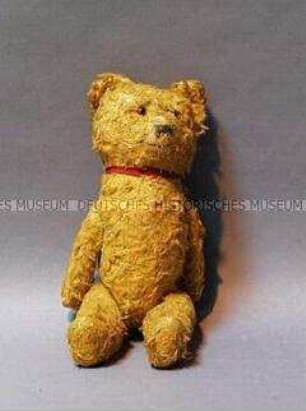Teddy