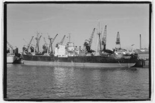 Nordwind (1958), Mackprang, Hamburg