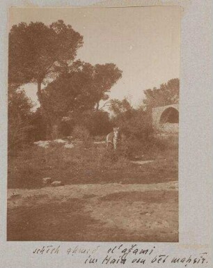 Schech ahmed el'agami im Hain von bet mahsir [Bayt Mahsir].