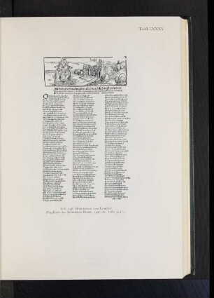 Abb. 148. Wundersau von Landser, Flugblatt des Sebastian Brant, 1496 (zu Seite 524f.).