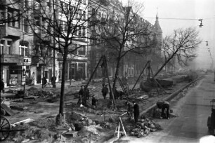 Berlin: Baumfällen in der Bismarckstraße