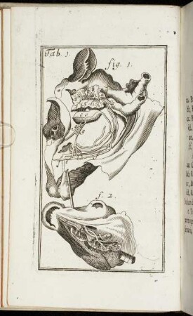 Caput I. De Primis Alimentorum Præparationibus.