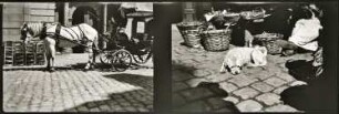 Kodak-Filmstreifen mit zwei Fotos (unbekannter Aufnahmeort)