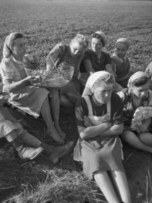 Cotta, Arbeitspause auf einem Feld : Cotta. Getreideernte. Arbeitspause