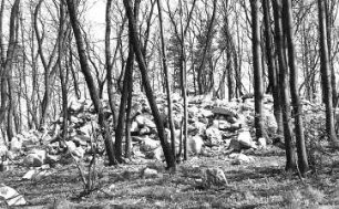 Schöpstal-Kunnersdorf. Trümmer der Holländermühle auf dem Kapellenberg