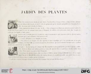 Le jardin des plantes