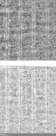 gesichteter Halbmond im Wappen (gekrönt) / Ornament + VG = Bd.1, S.21/22+23/24