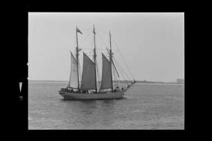 Anny von Hamburg (1914)