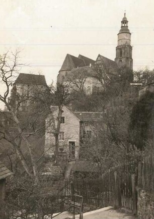 Kamenz, Stadtkirche : Stadtkirche St. Marien, Blick vom Hang des Herrentals (von Osten)